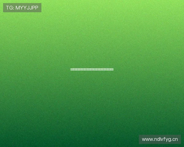 光速体育首页全面升级带来更加便捷的体育资讯与赛事直播体验